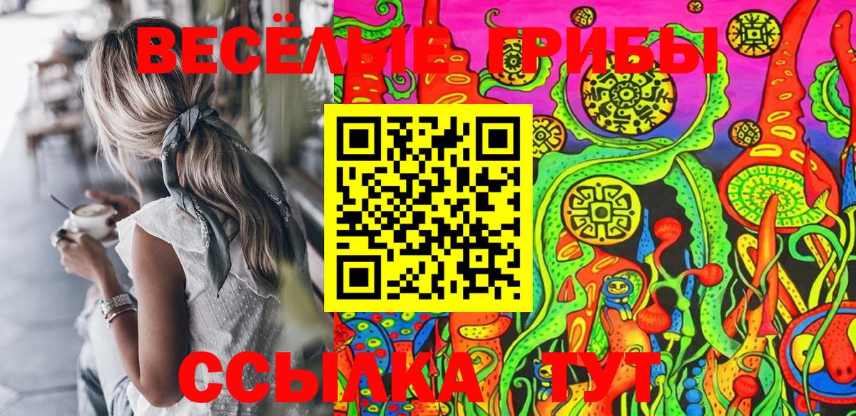 Петровск  Галлюциногенные грибы Psilocybe  Вход с VPN  Галлюциногенные грибы мицелий 